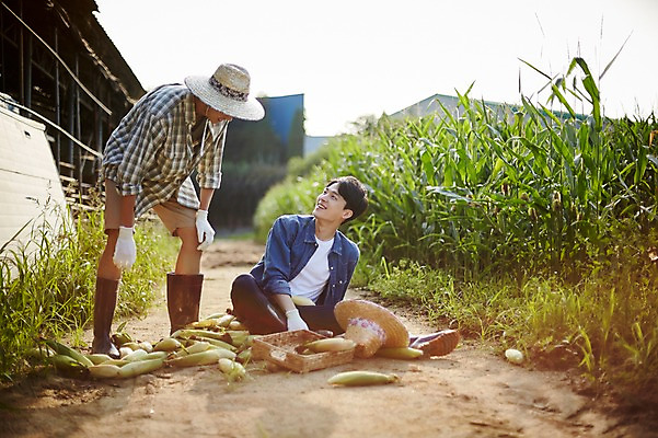 포토 JPG 주간 전신 남자 농업 사진 옥수수 서기 미소 앉기 20대 성인 야외 두명 앞모습 아웃포커스 친구 농사 한국인 농촌 시골 떨어짐 농부 귀농 실수 옥수수밭 넘어짐 성인남자만 청년농부 국내포토 양주시 자연요소 직업 산업 뷰포인트 컨셉 밭 관계 모션 곡류 촬영기법 표정 사람 동양인 청년 경기도 남자만 성인만 파일형식