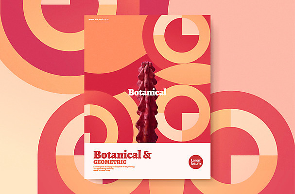 도형 편집 포스터 백그라운드 그래픽백그라운드 일러스트 선인장 사람없음 그래픽 원형 삼각자 그라데이션 기하학 지오메트릭 보테니컬아트 국내일러스트 AI파일 식물 무늬 자 파일형식 벡터