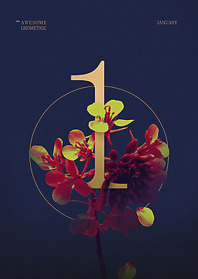 PSD 1 꽃 겨울 일러스트 타이포그라피 사람없음 숫자 원형 1월 지오메트릭 국내일러스트 도형 식물 문자 계절 날짜 파일형식