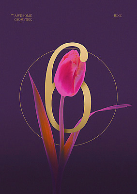 PSD 일러스트 타이포그라피 사람없음 여름 숫자 튤립 원형 6월 6 지오메트릭 국내일러스트 도형 문자 계절 꽃 날짜 파일형식