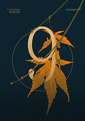 PSD 단풍 낙엽 일러스트 타이포그라피 사람없음 가을 9 9월 지오메트릭 국내일러스트 문자 계절 잎 숫자 날짜 파일형식