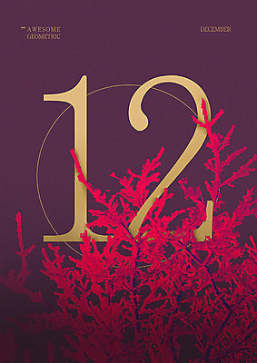 PSD 나무 겨울 일러스트 타이포그라피 사람없음 숫자 눈 원형 12월 12 지오메트릭 국내일러스트 자연요소 도형 식물 문자 계절 날씨 날짜 파일형식