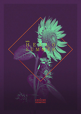 PSD 영어 일러스트 해바라기 타이포그라피 사람없음 여름 마름모 지오메트릭 국내일러스트 도형 문자 계절 꽃 파일형식