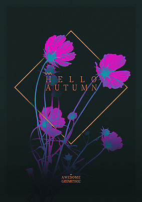 PSD 영어 꽃 일러스트 타이포그라피 사람없음 가을 코스모스 마름모 지오메트릭 국내일러스트 도형 식물 문자 계절 파일형식