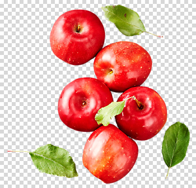 편집 편집이미지 나뭇잎 사람없음 사과 PNG 편집소스 잎 과일 파일형식