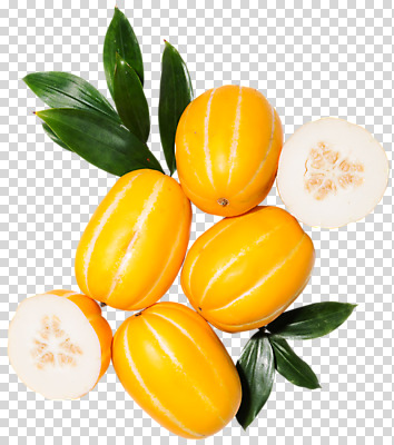 편집 편집이미지 단면 나뭇잎 사람없음 참외 PNG 편집소스 잎 과일 파일형식