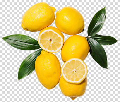 편집 편집이미지 단면 나뭇잎 사람없음 레몬 PNG 편집소스 잎 과일 파일형식