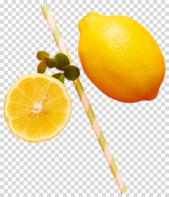 편집 편집이미지 단면 나뭇잎 빨대 사람없음 레몬 PNG 편집소스 잎 과일 파일형식