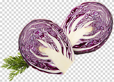 편집 편집이미지 단면 나뭇잎 사람없음 양배추 PNG 편집소스 잎 채소 파일형식