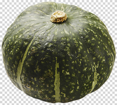 편집 편집이미지 사람없음 PNG 단호박 편집소스 호박 파일형식