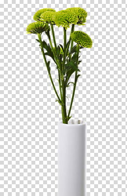 편집 편집이미지 꽃 화분 여러송이 사람없음 꽃병 PNG 편집소스 식물 다수 파일형식