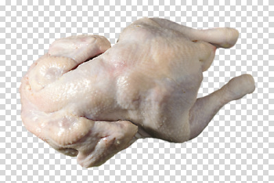 편집 편집이미지 식재료 사람없음 닭 PNG 생닭 편집소스 조류 파일형식