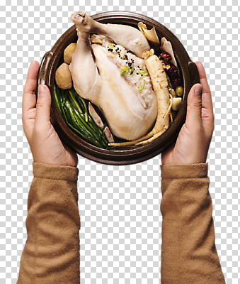 편집 편집이미지 손 한식 여름음식 들기 신체부위 인삼 뚝배기 삼계탕 PNG 찹쌀 편집소스 제철음식 음식 모션 사람 쌀 삼 보양식 제철 파일형식 여름_계절