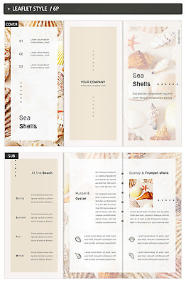 템플릿 표지디자인 표지 ZIP 내지 리플렛 3단접지 조개 불가사리 팜플렛 해변 사람없음 모래사장 조개껍데기 인디자인 INDD 이미지템플릿 바다 어패류 극피동물 파일형식