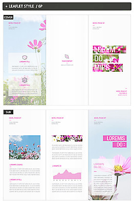 템플릿 표지디자인 표지 꽃 ZIP 내지 리플렛 3단접지 그래프 팜플렛 사람없음 가을 코스모스 인디자인 INDD 이미지템플릿 식물 계절 파일형식