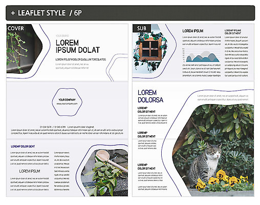 식물 템플릿 한마리 표지디자인 표지 꽃 ZIP 내지 리플렛 3단접지 창문 그래프 팜플렛 사람없음 고양이 길고양이 반려 인디자인 INDD 이미지템플릿 1 포유류 반려동물 파일형식