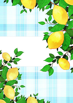 PSD 과일 일러스트 나뭇잎 프레임 사람없음 레몬 체크무늬 프레임일러스트 국내일러스트 잎 무늬 파일형식
