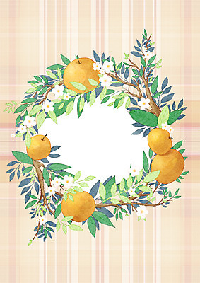 PSD 과일 일러스트 프레임 사람없음 나뭇가지 배 체크무늬 원형프레임 배꽃 프레임일러스트 국내일러스트 나무 꽃 무늬 원형 파일형식