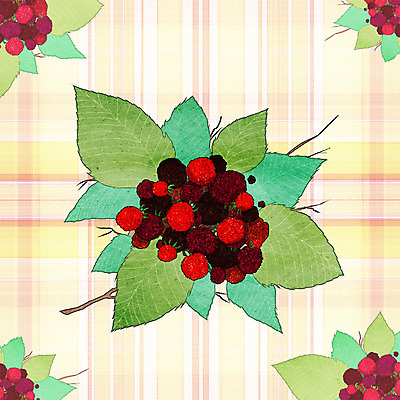 PSD 열매 일러스트 나뭇잎 프레임 사람없음 체크무늬 복분자 프레임일러스트 국내일러스트 식물 잎 무늬 과일 파일형식