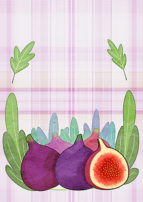 PSD 과일 일러스트 단면 나뭇잎 프레임 사람없음 체크무늬 무화과 프레임일러스트 국내일러스트 잎 무늬 파일형식