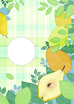 PSD 과일 일러스트 나뭇잎 프레임 사람없음 체크무늬 모과 모과나무 프레임일러스트 국내일러스트 나무 잎 무늬 파일형식