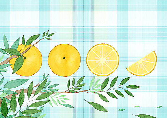 PSD 열매 조각 일러스트 단면 나뭇잎 프레임 사람없음 체크무늬 유자 유자나무 프레임일러스트 국내일러스트 나무 식물 잎 무늬 과일 파일형식