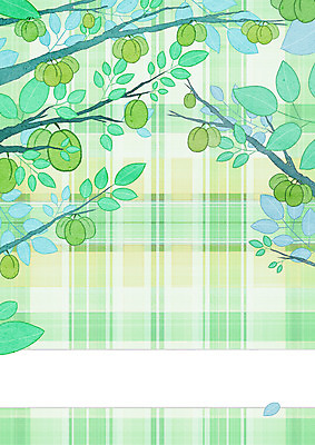 PSD 열매 일러스트 프레임 사람없음 체크무늬 매실 매실나무 프레임일러스트 국내일러스트 나무 식물 무늬 파일형식