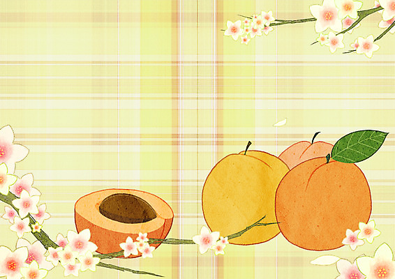PSD 열매 일러스트 단면 프레임 사람없음 체크무늬 살구 살구꽃 프레임일러스트 국내일러스트 식물 꽃 무늬 과일 파일형식