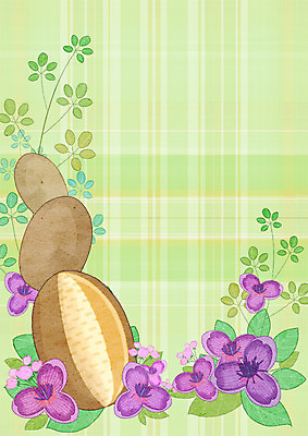 PSD 열매 일러스트 나뭇잎 프레임 사람없음 한약재 체크무늬 으름꽃 프레임일러스트 국내일러스트 식물 꽃 잎 무늬 약재 파일형식