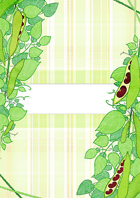 PSD 식물 열매 일러스트 콩 프레임 사람없음 체크무늬 콩깍지 강낭콩 프레임일러스트 국내일러스트 무늬 곡류 파일형식