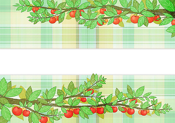 PSD 열매 과일 일러스트 프레임 사람없음 앵두 체크무늬 앵두나무 프레임일러스트 국내일러스트 나무 식물 무늬 파일형식