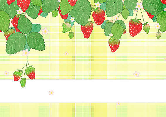 PSD 과일 일러스트 딸기 나뭇잎 프레임 사람없음 체크무늬 딸기꽃 프레임일러스트 국내일러스트 꽃 잎 무늬 파일형식