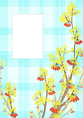 PSD 열매 일러스트 프레임 사람없음 체크무늬 산수유 산수유나무 산수유열매 프레임일러스트 국내일러스트 나무 식물 꽃 무늬 파일형식