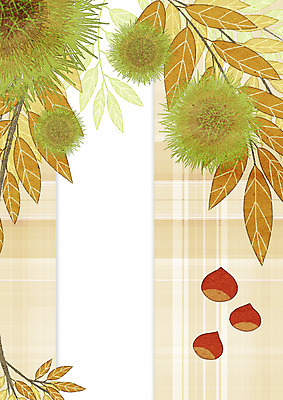 PSD 열매 일러스트 프레임 사람없음 밤 밤송이 체크무늬 밤나무 프레임일러스트 국내일러스트 나무 식물 무늬 견과류 밤_견과류 파일형식