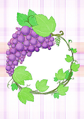 PSD 과일 일러스트 포도 나뭇잎 프레임 사람없음 체크무늬 원형프레임 프레임일러스트 국내일러스트 잎 무늬 원형 파일형식