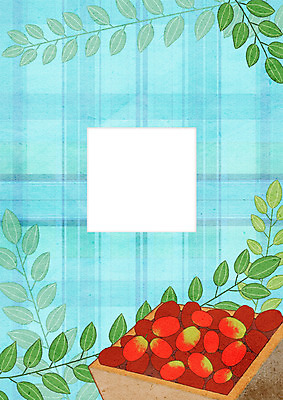 PSD 열매 일러스트 나뭇잎 프레임 사람없음 한약재 체크무늬 대추 프레임일러스트 국내일러스트 식물 잎 무늬 약재 파일형식