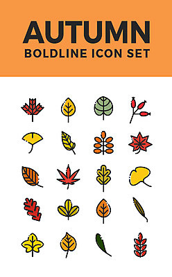 아이콘 단풍 나뭇잎 사람없음 세트 가을 은행잎 웹아이콘 2D아이콘 AI파일 계절 잎 파일형식 벡터
