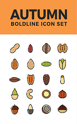 아이콘 사람없음 세트 견과류 가을 밤 땅콩 호두 웹아이콘 도토리 코코넛 아몬드 잣 피스타치오 해바라기씨 헤이즐넛 호박씨 2D아이콘 AI파일 계절 과일 씨앗 파일형식 벡터
