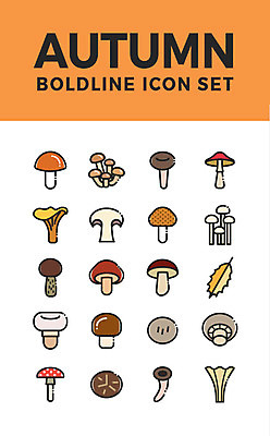 아이콘 나뭇잎 사람없음 세트 버섯 가을 웹아이콘 양송이 팽이버섯 표고버섯 느타리버섯 송이버섯 독버섯 2D아이콘 AI파일 계절 잎 파일형식 벡터