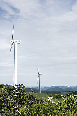 포토 JPG 하늘 산 한국 풍경 초원 사람없음 풍력에너지 강원도 태백 매봉산 국내포토 아시아 그린에너지 파일형식