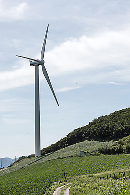 포토 JPG 하늘 산 한국 풍경 사람없음 풍력에너지 강원도 태백 매봉산 국내포토 아시아 그린에너지 파일형식