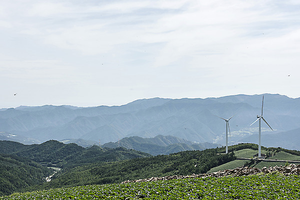 포토 JPG 하늘 한국 풍경 사람없음 풍력에너지 산등성이 강원도 태백 매봉산 국내포토 아시아 산 그린에너지 파일형식