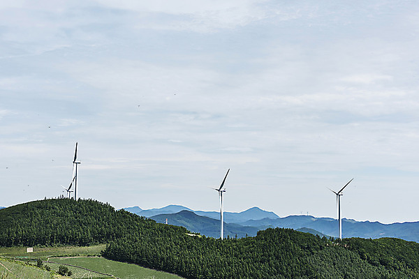 포토 JPG 하늘 한국 풍경 사람없음 풍력에너지 산등성이 강원도 태백 매봉산 국내포토 아시아 산 그린에너지 파일형식