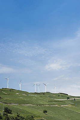 포토 JPG 하늘 산 한국 풍경 사람없음 풍력에너지 강원도 배추밭 태백 고랭지 매봉산 국내포토 아시아 밭 농업 그린에너지 파일형식