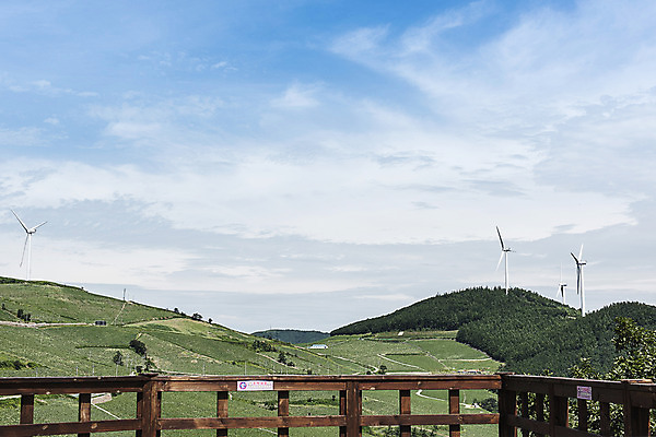 포토 JPG 하늘 산 한국 풍경 사람없음 풍력에너지 강원도 전망대 배추밭 태백 고랭지 매봉산 국내포토 아시아 밭 농업 그린에너지 파일형식