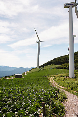 포토 JPG 하늘 산 한국 풍경 사람없음 풍력에너지 강원도 배추밭 태백 고랭지 매봉산 국내포토 아시아 밭 농업 그린에너지 파일형식