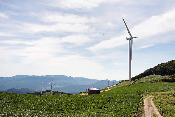 포토 JPG 하늘 한국 풍경 사람없음 풍력에너지 강원도 배추밭 태백 고랭지 매봉산 국내포토 아시아 밭 농업 산 그린에너지 파일형식