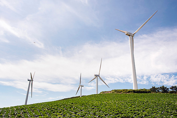 포토 JPG 하늘 한국 풍경 사람없음 풍력에너지 강원도 배추밭 태백 고랭지 매봉산 국내포토 아시아 밭 농업 산 그린에너지 파일형식