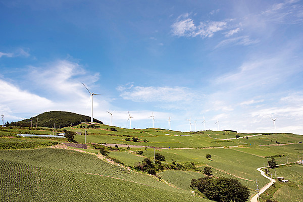 포토 JPG 하늘 한국 초원 사람없음 풍력에너지 강원도 배추밭 태백 고랭지 매봉산 국내포토 아시아 밭 농업 산 그린에너지 파일형식