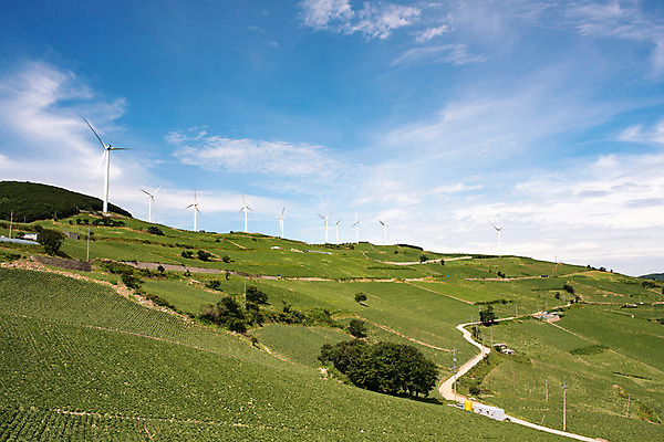 포토 JPG 하늘 한국 사람없음 풍력에너지 강원도 배추밭 태백 고랭지 매봉산 국내포토 아시아 밭 농업 산 그린에너지 파일형식